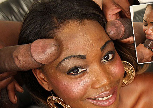 Black On Black Crime Starring Dakota